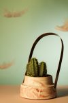 galery-thumb